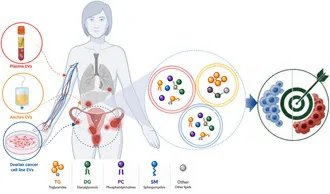 rani2026lipidomics.jpg
